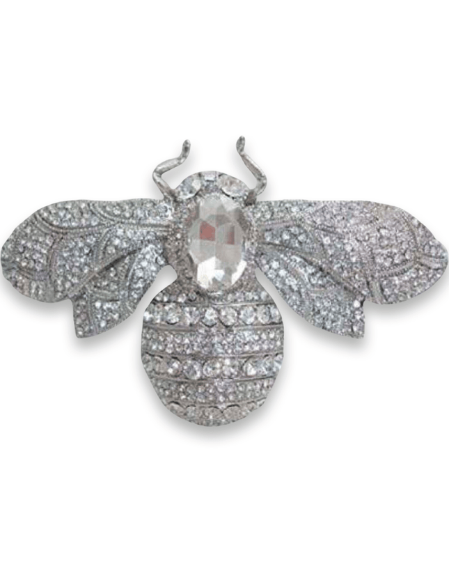 Casa Duniya Crystal Fashion Brooches Nahla Silver Rhinestone Brooches