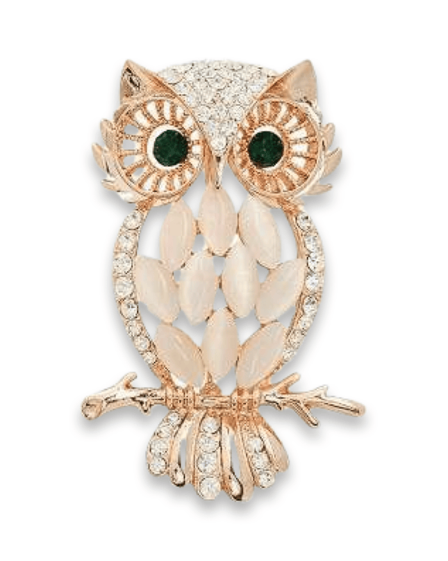 Casa Duniya Crystal Fashion Brooches Sava Rhinestone Brooches