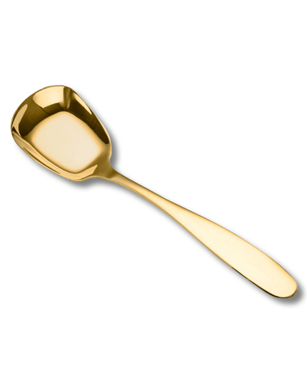 Casa Duniya Premium Serving Utensil Ruva Serving Spoon