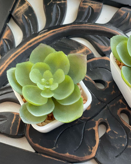 Casa Duniya Hand-Carved Wooden Trivet Black Floralis Trivet