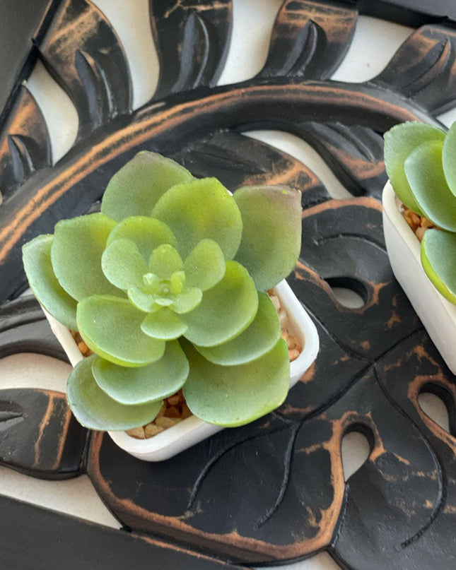 Casa Duniya Hand-Carved Wooden Trivet Black Floralis Trivet